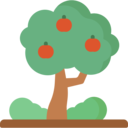 ecology,nature,fruit,botanical,farming and gardening,tree,garden,yard,fruit tree